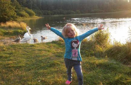 Dom drewniany na Kaszubach, rzeka, las, pola, niedaleko jeziora - Foto 16