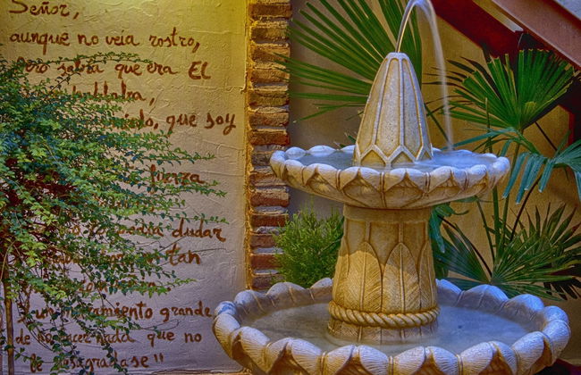 Beautiful Alamedas - Foto 68