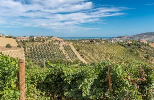 Agriturismo Il Sapore Della Luna - Foto 45