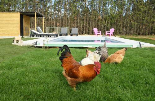 Le Galinié Chic'Art. Un bel Atelier avec Piscine - Foto 15