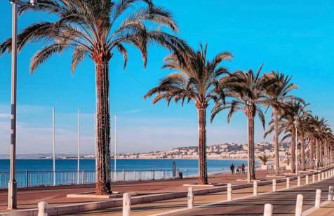 Terrasse Vue Mer Plage à 50 m Parking - Foto 35