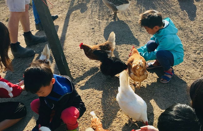 Clandulla Cottages - Foto 48