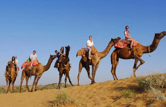 Excursion à Osian et Khichan - Photo 4