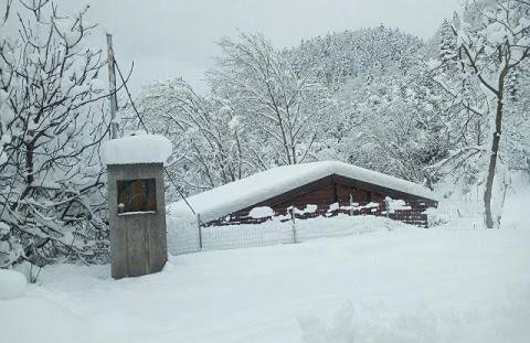 Το σπιτάκι του Σπύρου - Foto 25
