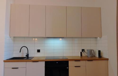 Apartament przy Ratuszu - Foto 9