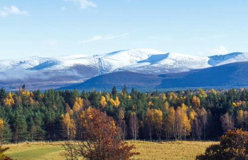 Heath Cottage - Foto 26