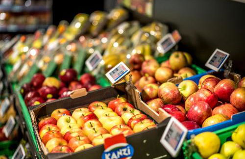 Alpine Chalet Sauter - Photo 80