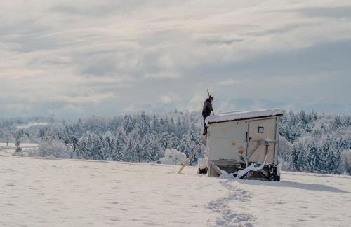 Zimis Hofnest - Foto 24