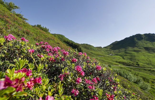 Apartment in Damuls Near Ski Slopes - Photo 30