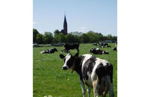 Ferienwohnung HEIN am Nordseedeich - Photo 28