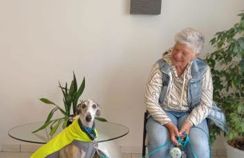 Vuelle Residence Apartments - Foto 26