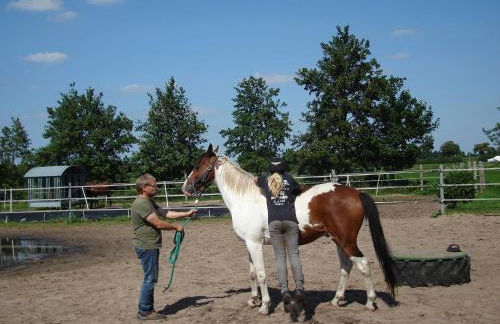 Little Farm House, 25164 - Foto 7