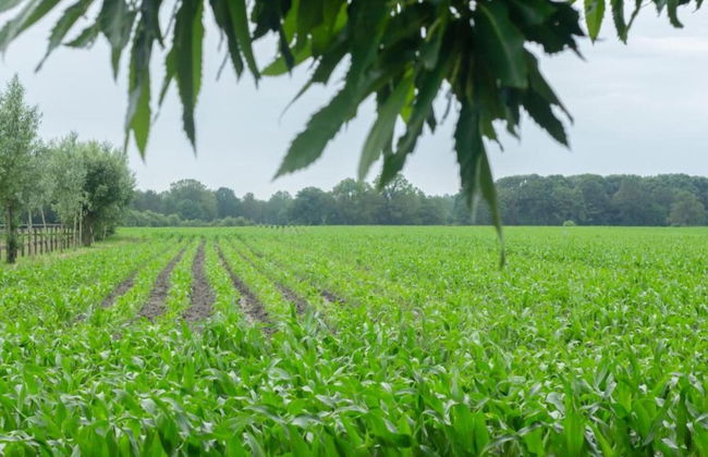 Holiday Home in Haaksbergen by Lake - Photo 30