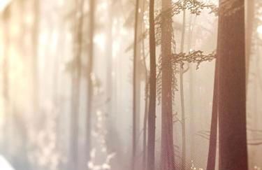 Gemütliches Alpenblick BERG-Bungalow + großer GARTEN + NETFLIX! - Foto 18