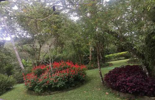 Sítio São Gerardo - Aconchegante casa no campo. - Foto 21