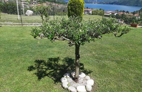 B&B Garzola - Foto 30