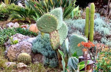 Villa Valeria - Foto 26