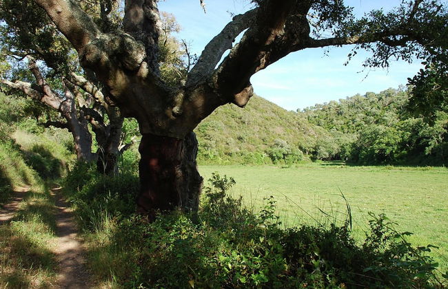 Quiet Cottage in Estate Casas da Cerca near Troviscais - Foto 26