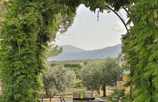 Olives and Vines all Season Villa - Photo 28