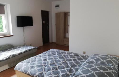 Pokoje u Iwonki - Barzowice - Foto 22