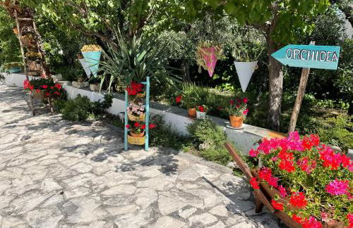 B&B Case Vacanza Orchidea marina di Macchia a Mattinata Gargano - Foto 29