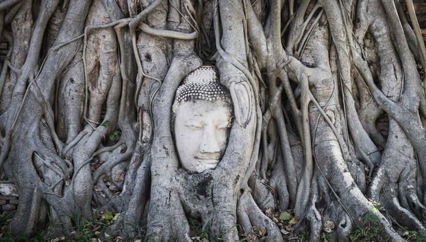 Excursión a Ayutthaya - Foto 4