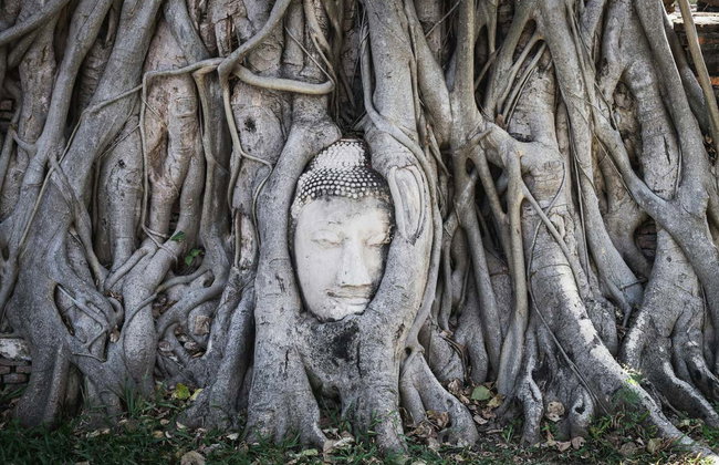 Excursión a Ayutthaya - Foto 4