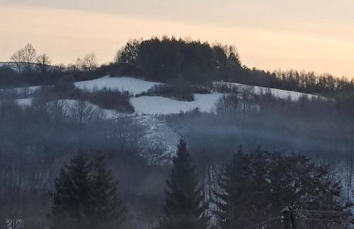 Wielgosówka - Foto 35