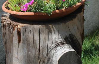 Villa Calma, recharge your body and mind - Foto 32