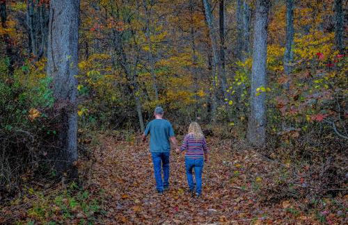 Overlook at Sleepy Creek -- Sleepy Creek Frontage, Secluded, Grill, Fire Pit, Deck, Family Friendly, Game Room, Fishing, Hammock, View, Fireplace - Foto 76