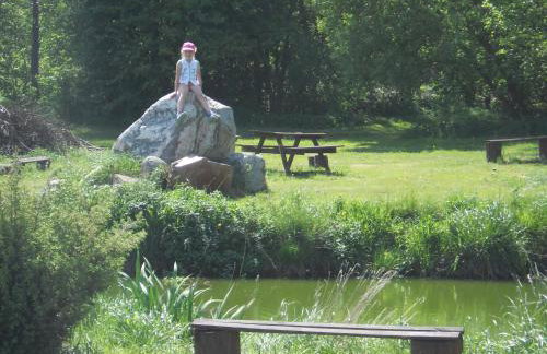 Agroturystyka Borówka - Foto 10