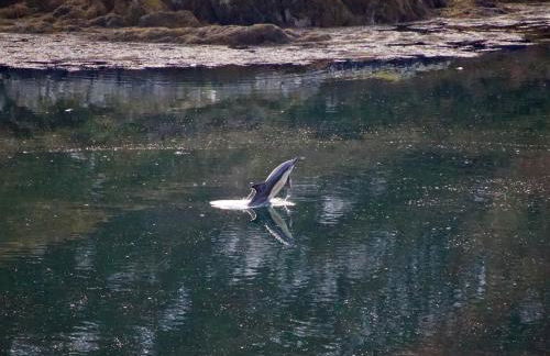 Badcall Bay Retreat - Foto 25