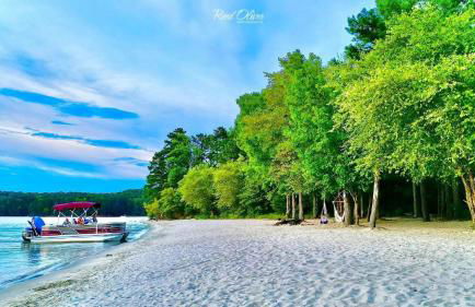 ClemsonILakesideIParkPassIPizzaOvenlYouTubeTVlFirePit - Foto 57