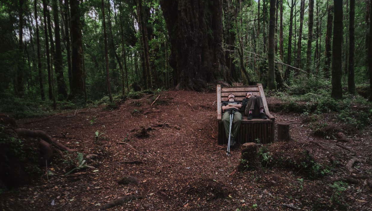 Tepuhueico Day Trip - Foto 1