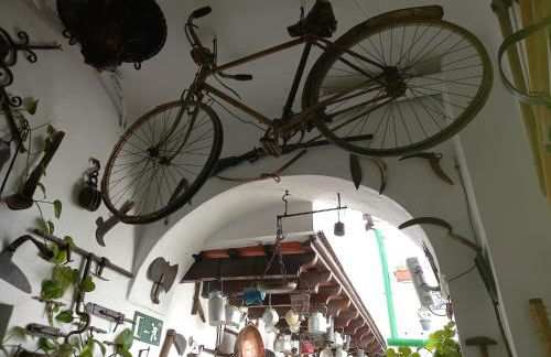 Casa Museo Jerez Centro - Foto 59