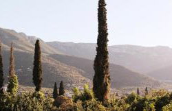 Villas Ve - Photo 38