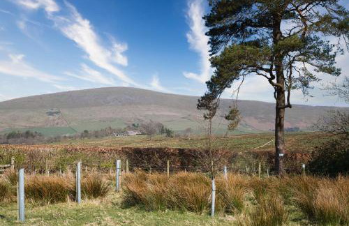 Bleasdale at Lantern and Larks - Foto 38