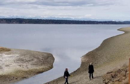 Incredible Sunset at Beachfront Glamping Cabin on Private, Herron Island with Fire Pit and Kayaking near Olympia, Washington - Foto 26