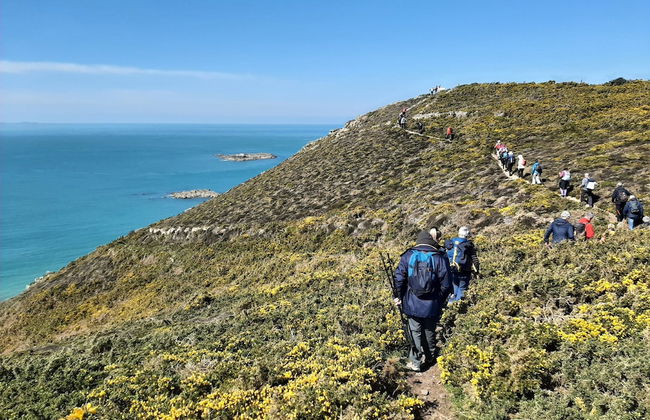 VVF Cotentin Îles anglo-normandes, Port Bail - Foto 60