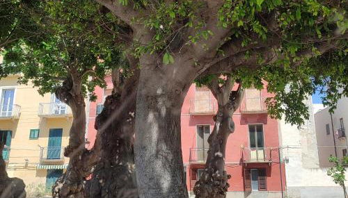 Alla Marina da Pina - Foto 4