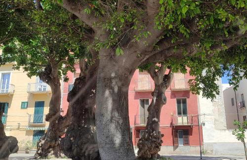 Alla Marina da Pina - Foto 4