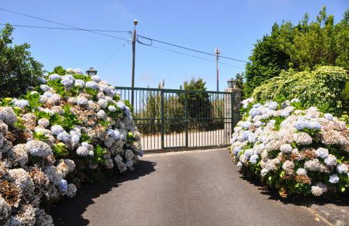 Luxury VILLA CAMÉLIA. Mountains, golf, horses, levada walks. - Foto 37