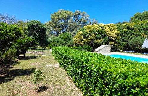 Lemontree Apartments - Foto 10