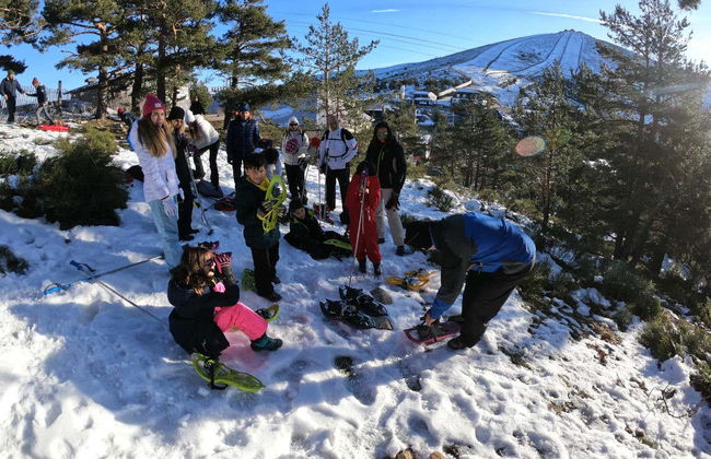 Passeggiata con racchette da neve + Costruzione di un iglù - Foto 3