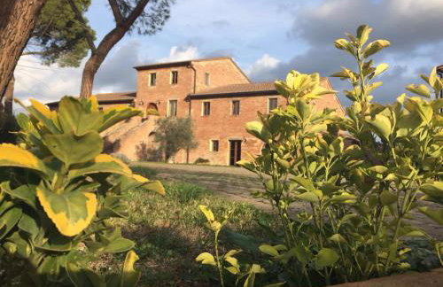 Tuscany Heritage Exclusive - La Ceppa - Foto 2