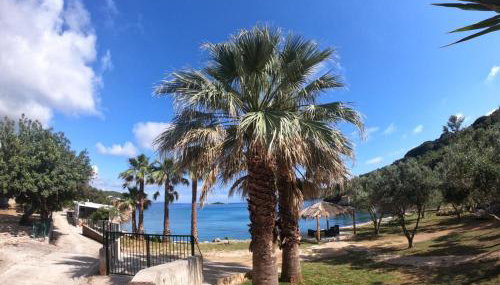 Olive Garden Beachside Hideaway - Foto 3, Garden, Garden view