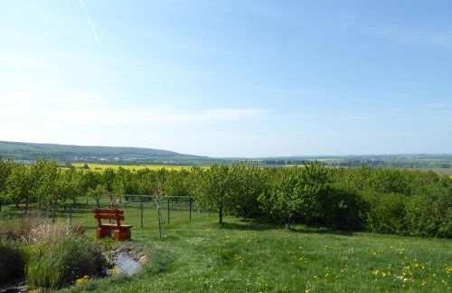 "Fahner Mühle" - Foto 50