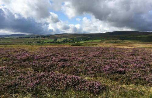 Mews Cottage - Foto 24