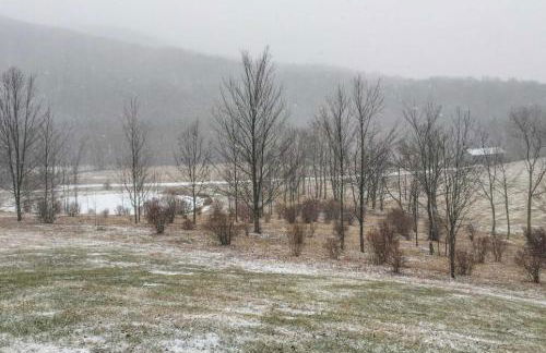 Private Dog-Friendly Home 3 Mi to Elk Mountain - Foto 35