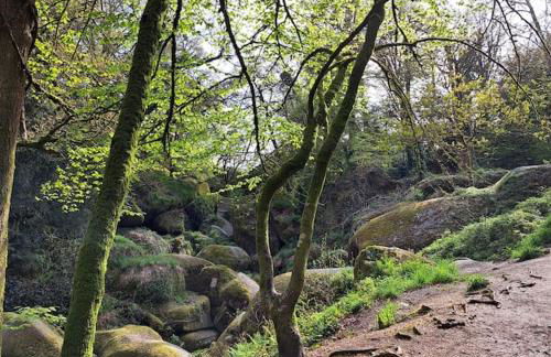 Lumière et Confort en Centre Ville - Foto 10